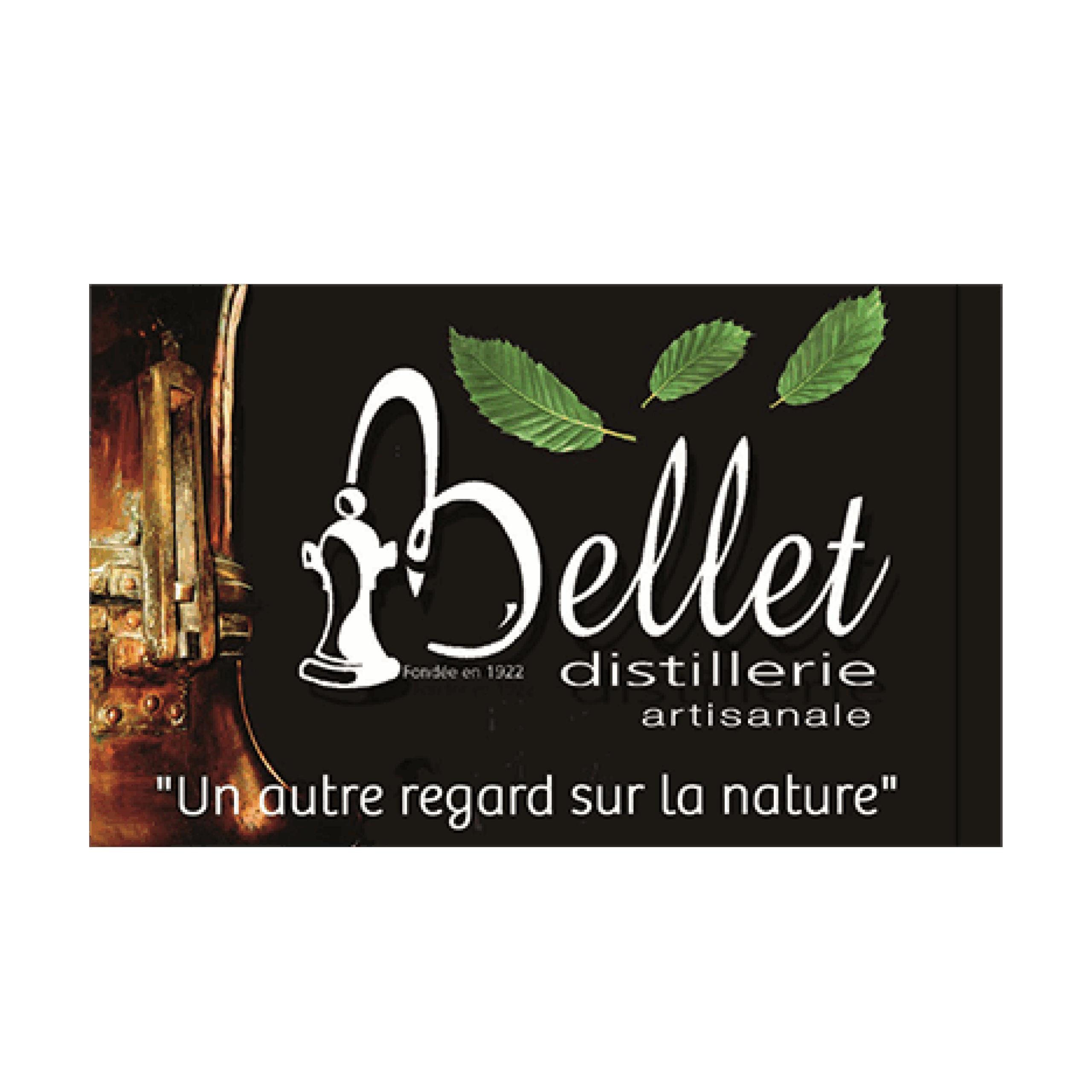 Logo Bellet Maison saint Raphael