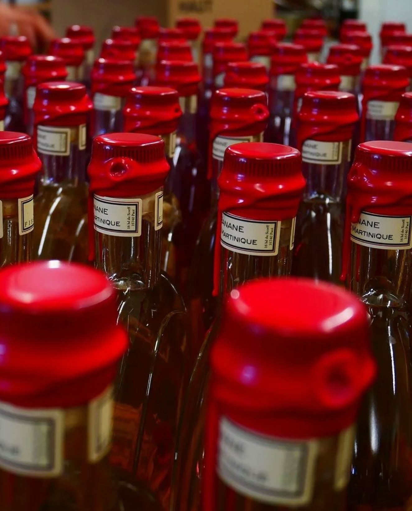 Photo-Maison-Fisselier Photo de plusieurs vermouth de Dolin