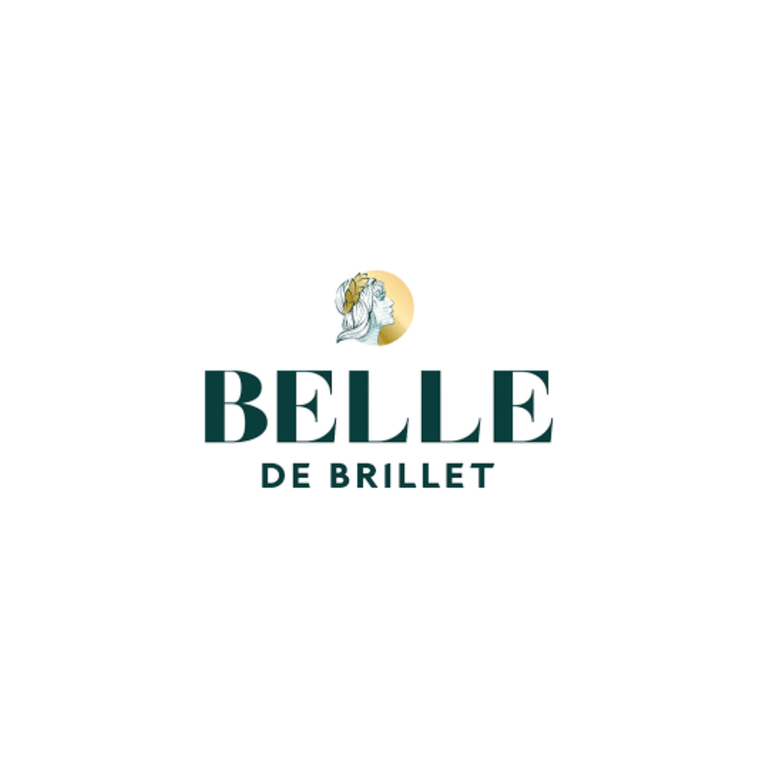 Belle de Brillet Maison saint Raphael